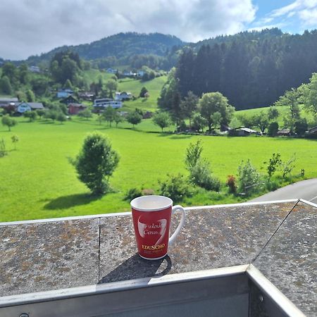 Wohnung Rheintal Im Alpenvorland Batschuns エクステリア 写真