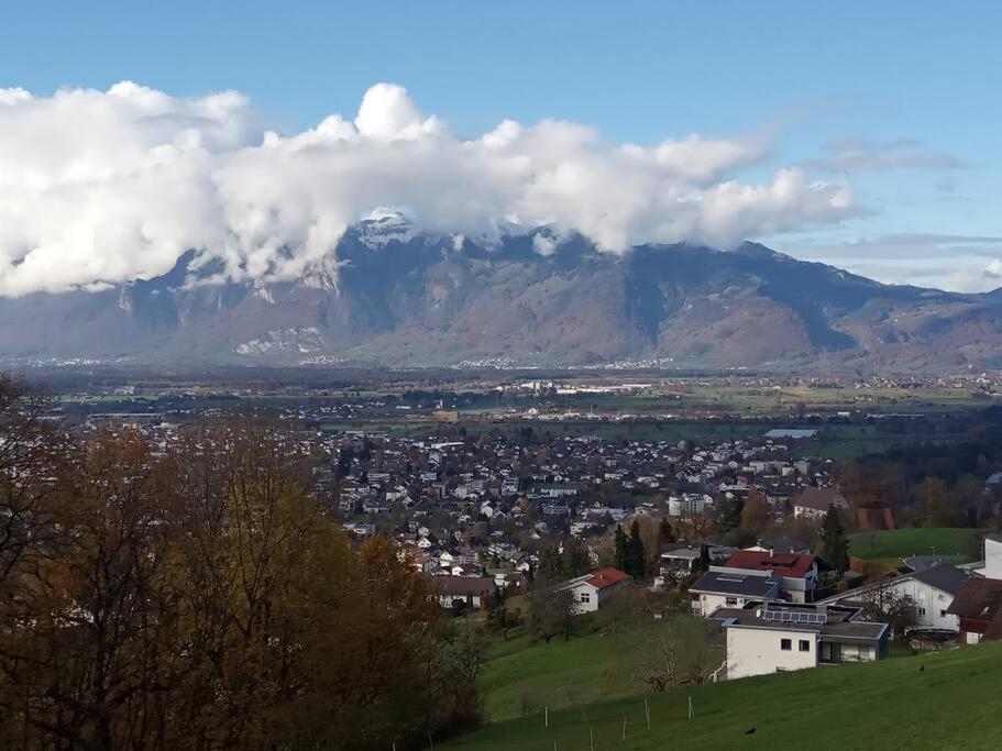 Wohnung Rheintal Im Alpenvorland Batschuns エクステリア 写真