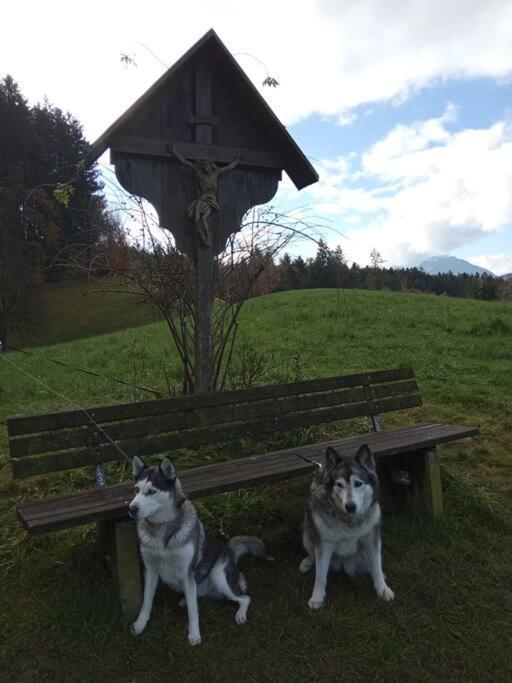 Wohnung Rheintal Im Alpenvorland Batschuns エクステリア 写真