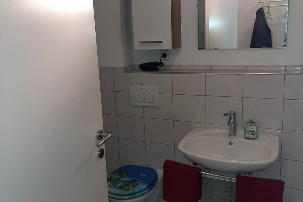 Wohnung Rheintal Im Alpenvorland Batschuns エクステリア 写真