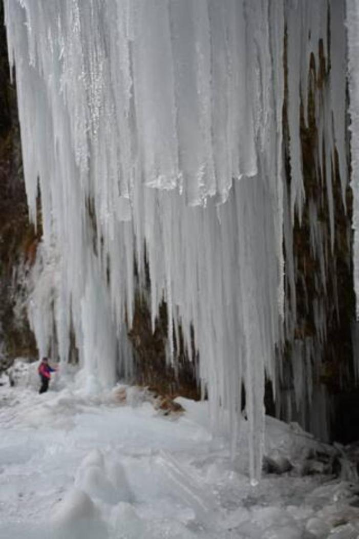 Wohnung Rheintal Im Alpenvorland Batschuns エクステリア 写真