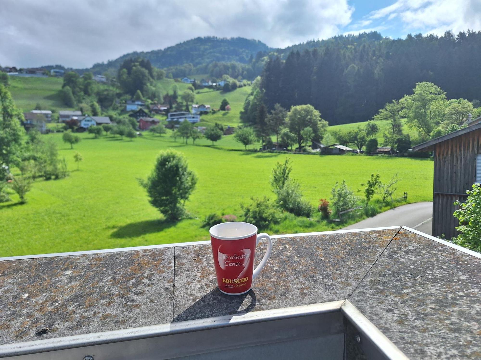 Wohnung Rheintal Im Alpenvorland Batschuns エクステリア 写真