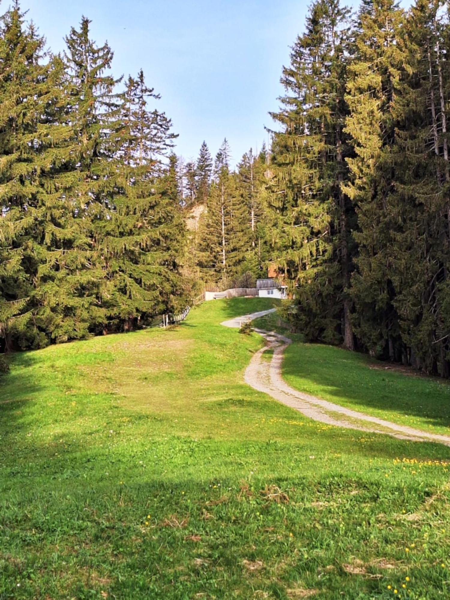 Wohnung Rheintal Im Alpenvorland Batschuns エクステリア 写真