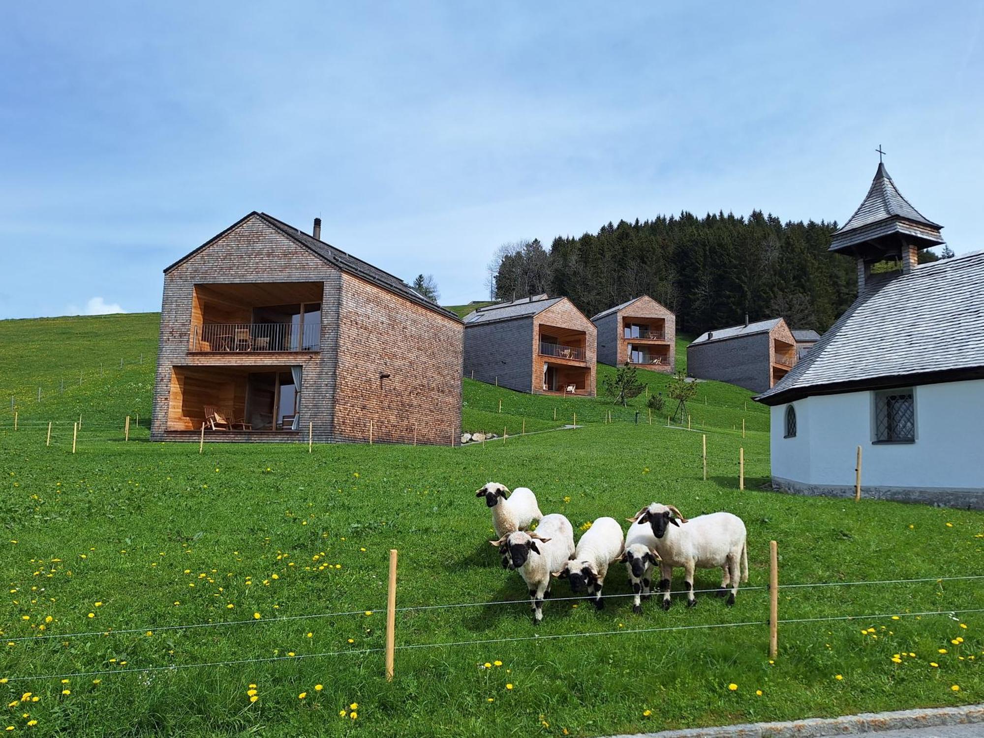 Wohnung Rheintal Im Alpenvorland Batschuns エクステリア 写真