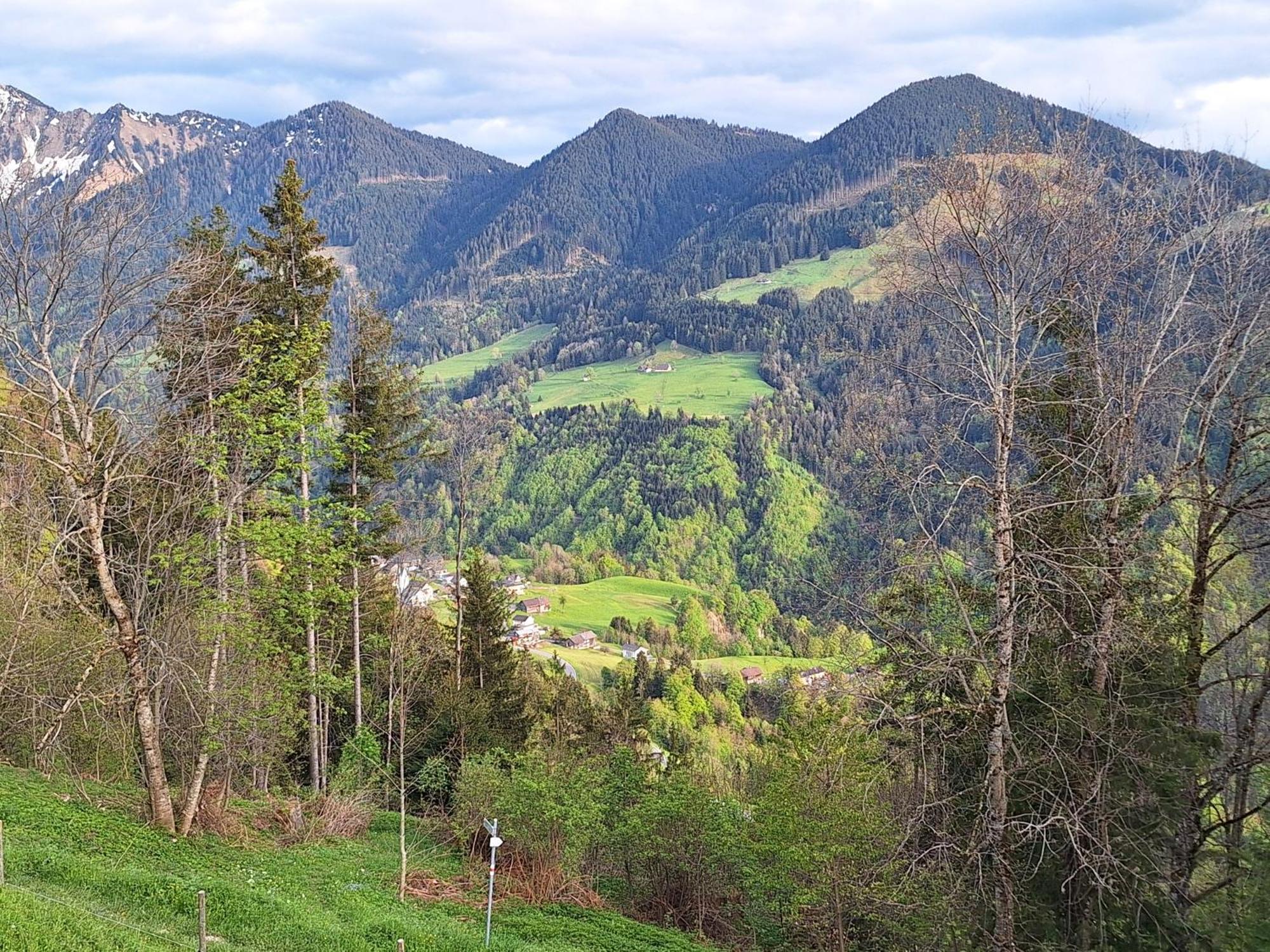 Wohnung Rheintal Im Alpenvorland Batschuns エクステリア 写真