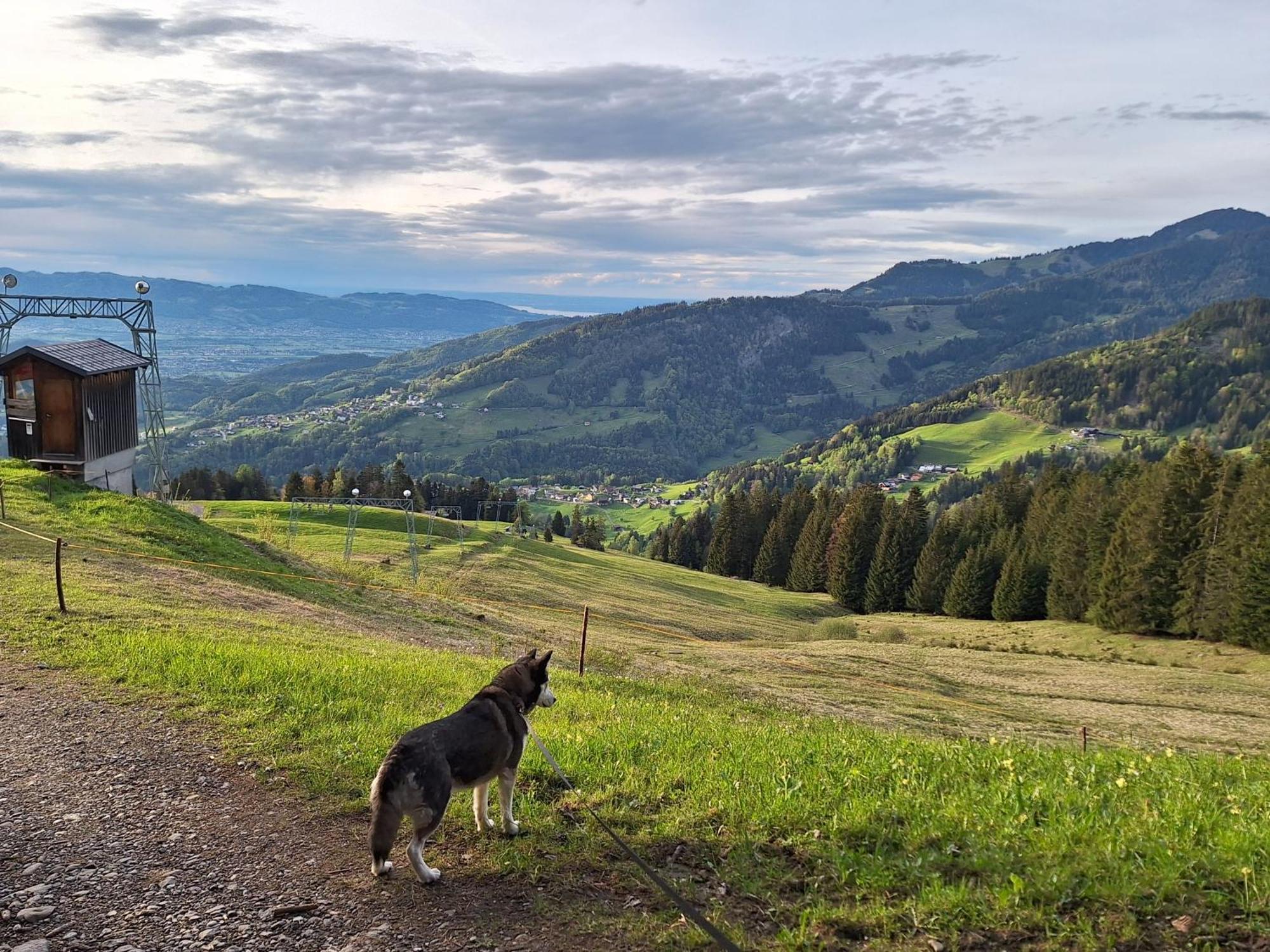 Wohnung Rheintal Im Alpenvorland Batschuns エクステリア 写真