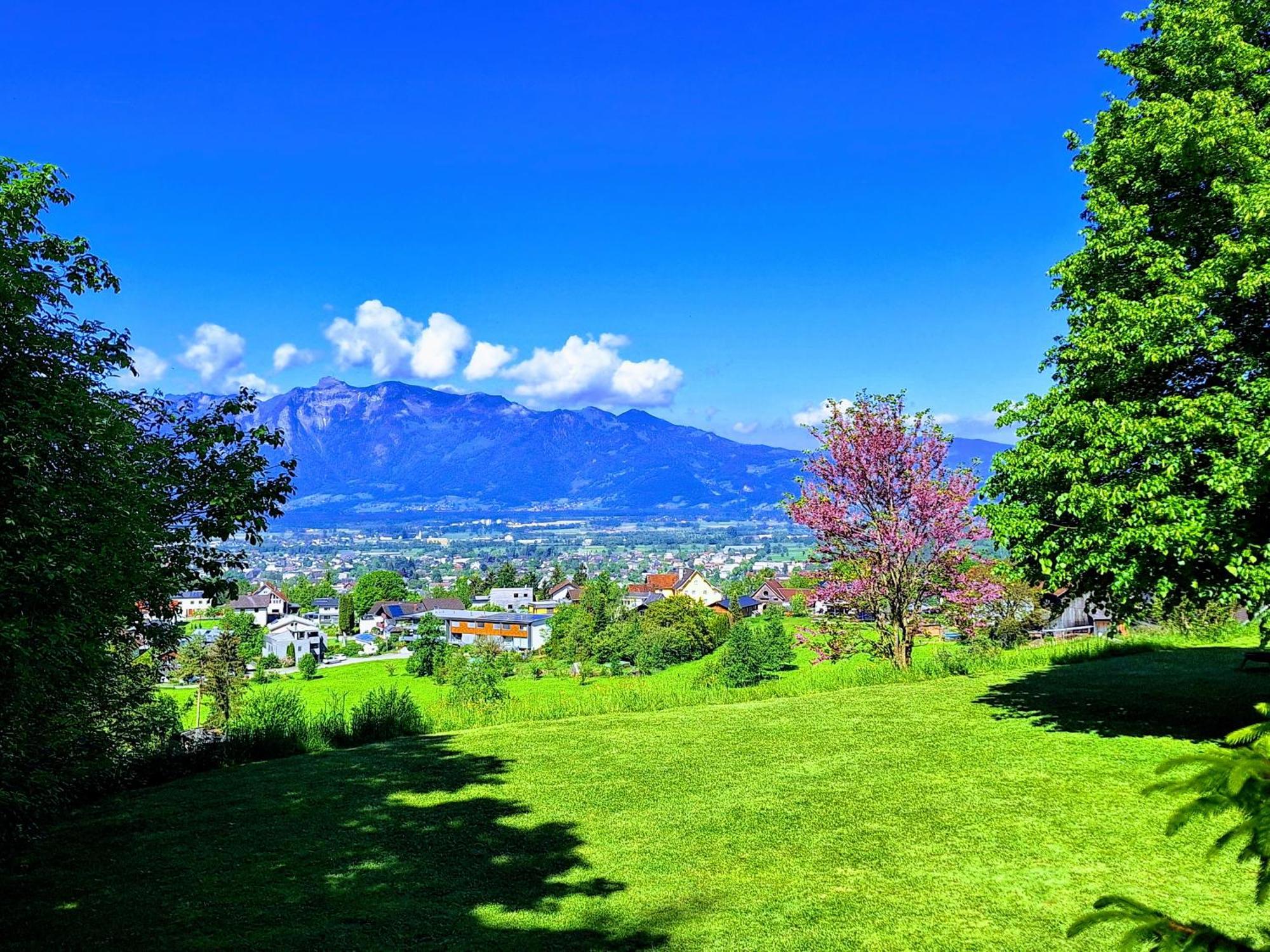 Wohnung Rheintal Im Alpenvorland Batschuns エクステリア 写真
